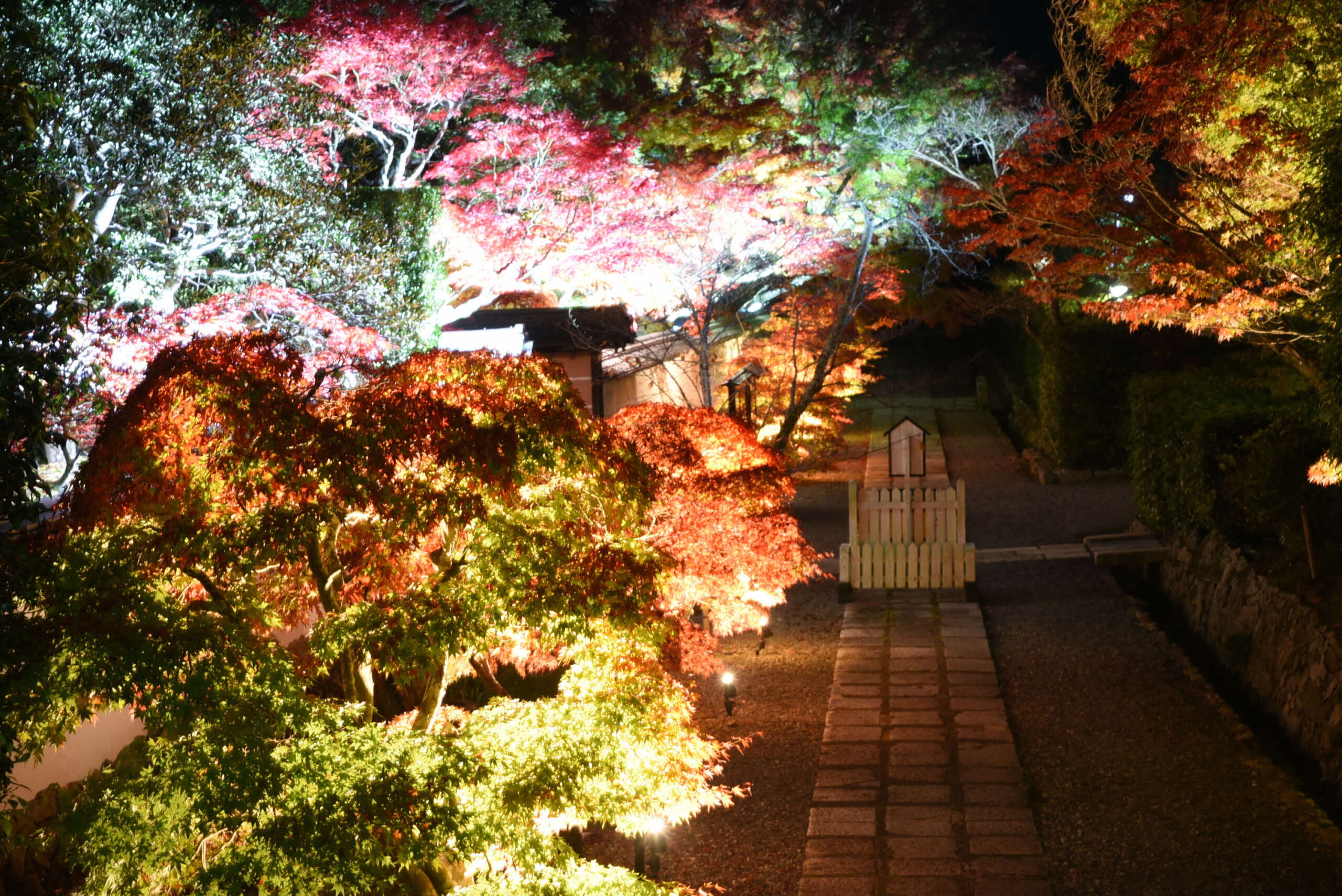 川西市満願寺で<br>観楓会（11/23）