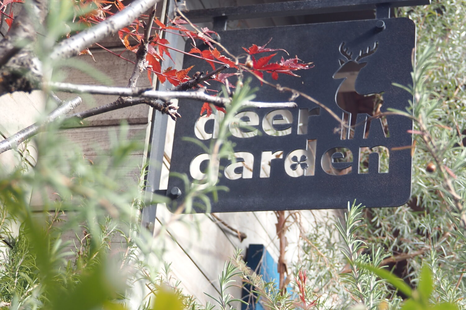 deer garden<br>ディアガーデン