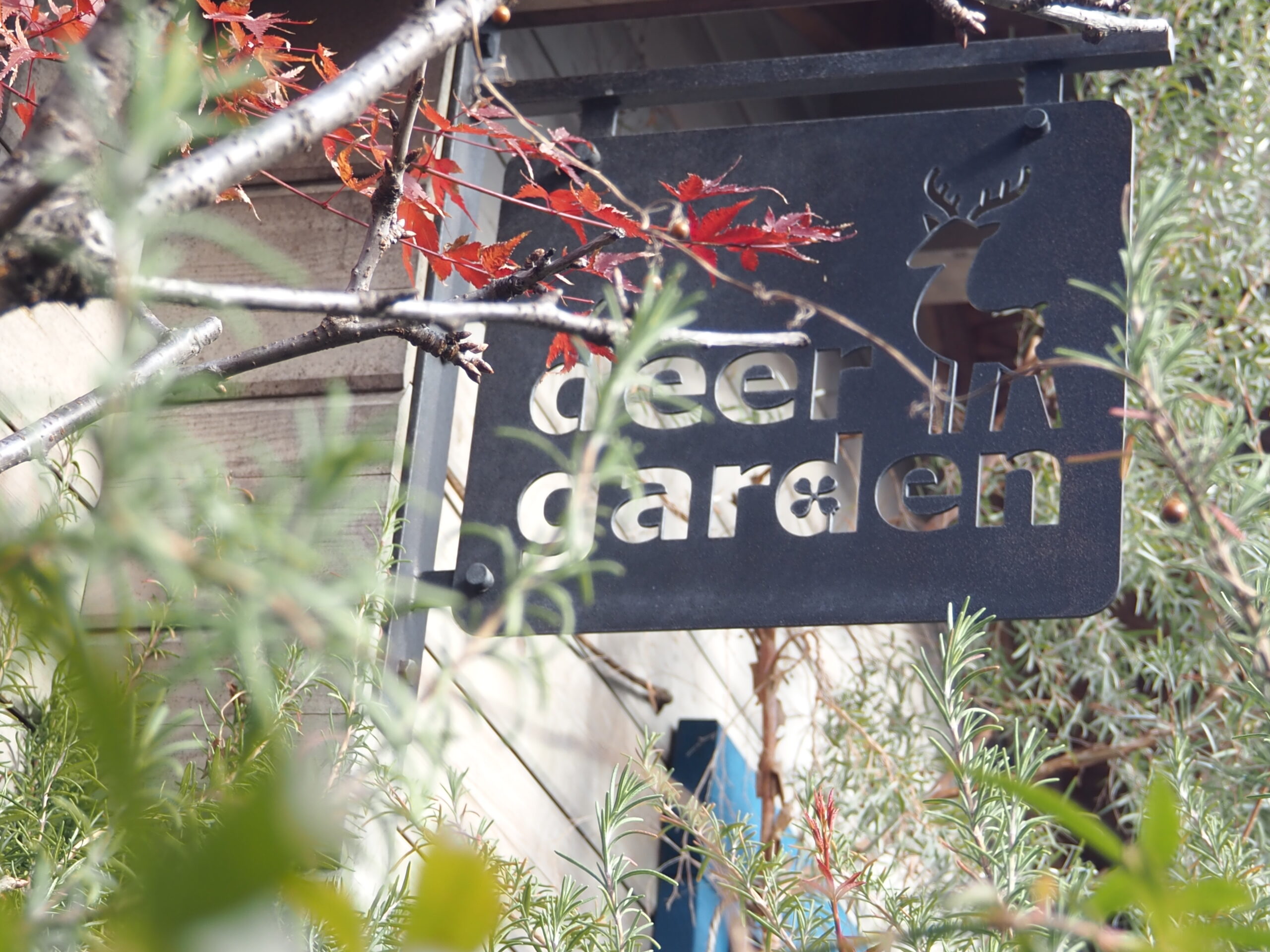 deer garden<br>ディアガーデン